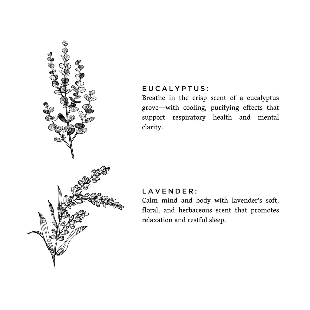 Eucalyptus + Lavender - Signature 3-Wick Candle
